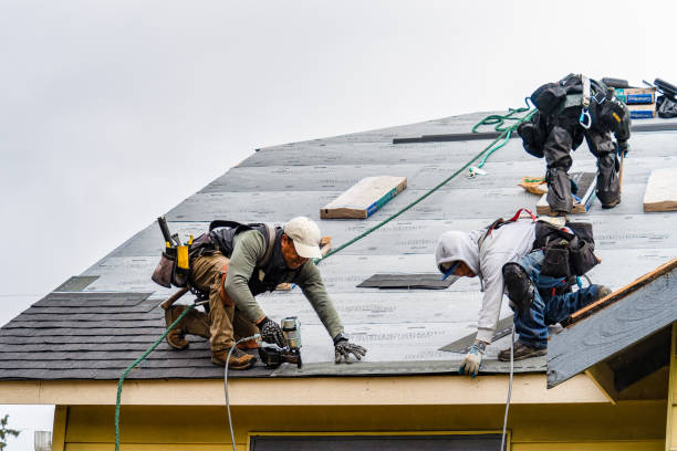 Professional Roofing technician working in Hilltop, MN